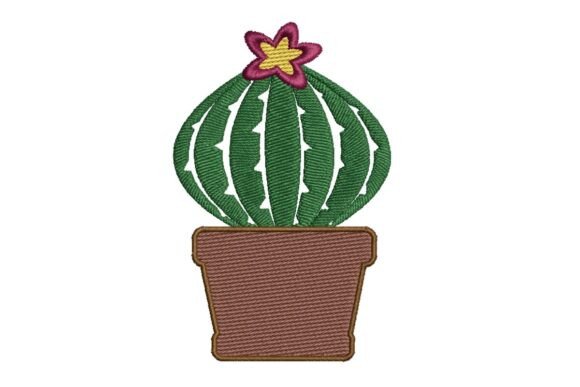 Cactus and Succulent: A Holiday Review