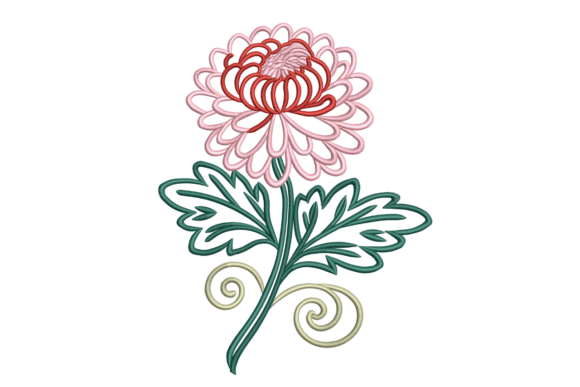 Chrysanthemum Flourish: A Designer’s Review