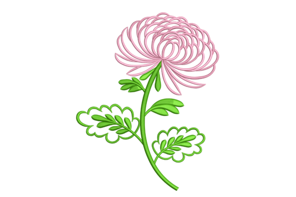 Chrysanthemum Outline Flower: A Seller’s Review