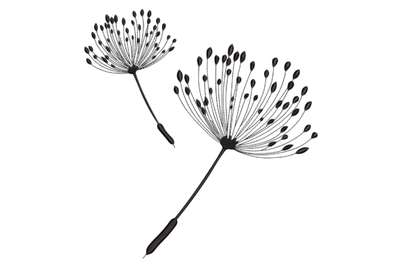 Dandelions Embroidery Design Review for Merch