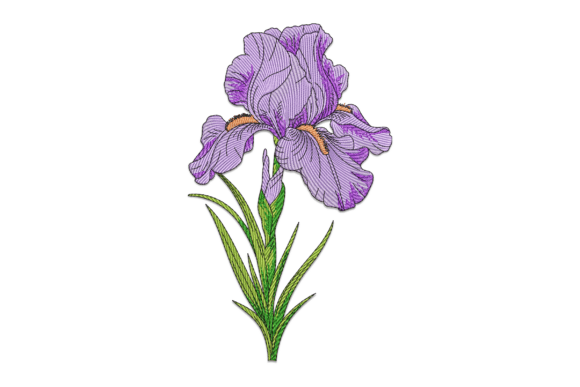 Purple Iris: A Designer’s Review for Real Projects