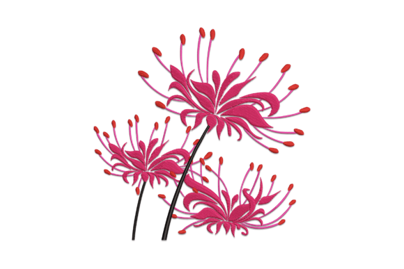Red Spider Lily: A Designer’s Review